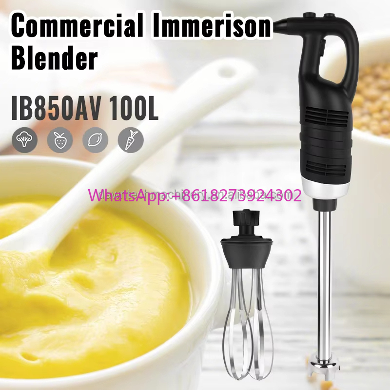 Immersion Blender Stick - Licuadora de mano eléctrica de venta